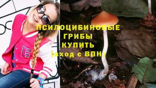 гашик Алзамай