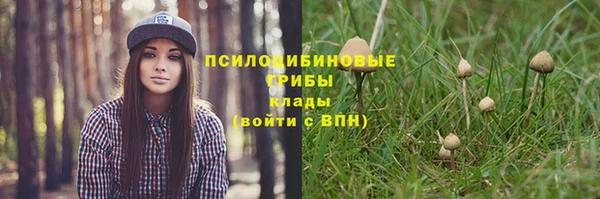 ГАЛЛЮЦИНОГЕННЫЕ ГРИБЫ Алексеевка