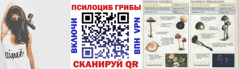 Галлюциногенные грибы Cubensis  Купить где  Воскресенск 